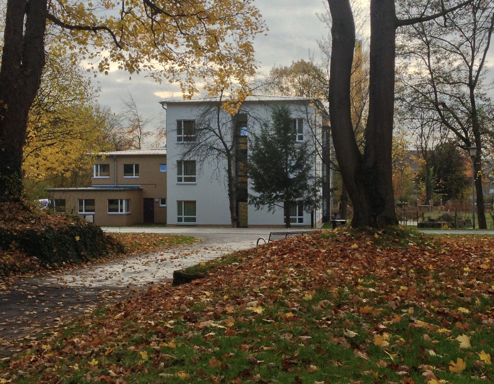 Hinter Bäumen mit Herbstlaub steht ein weiß-gelbes Gebäude