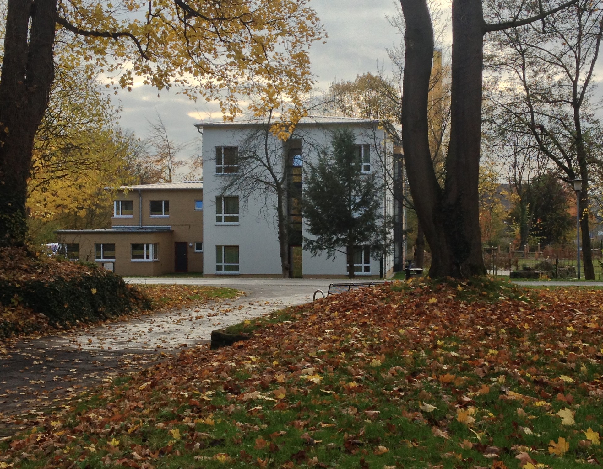 Hinter Bäumen mit Herbstlaub steht ein weiß-gelbes Gebäude